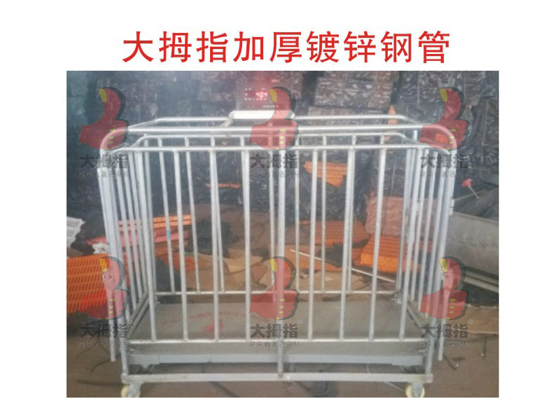 ��Ĵָ�N�i�y(c��)����